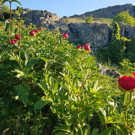 Pensiunea Agroturistica Angheliki Тульча Екстер'єр фото
