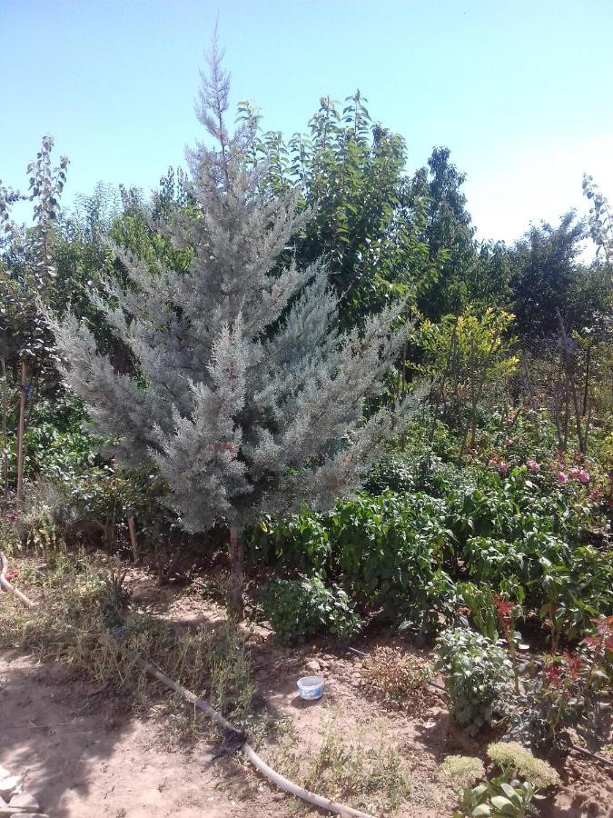 Pensiunea Agroturistica Angheliki Тульча Екстер'єр фото